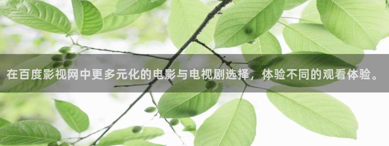 宅男视频深夜：在百度影视网中更多元化的电影与电视剧选择，体验不同的观看体验。