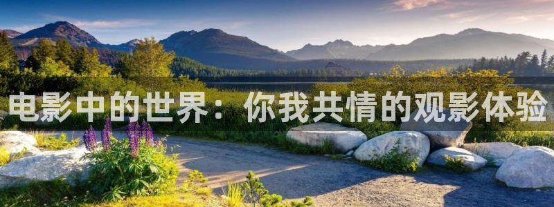 宅男视频免费在线观看视频：电影中的世界：你我共情的观影体验