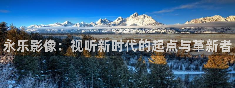 宅宅男视频：永乐影像：视听新时代的起点与革新者