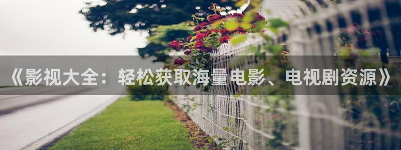 在线免费观看宅男视频：《影视大全：轻松获取海量电影、电视剧资源》