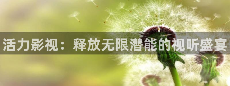 www.av宅男视频：活力影视：释放无限潜能的视听盛宴