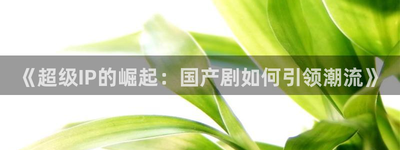 www宅男视频：《超级IP的崛起：国产剧如何引领潮流》