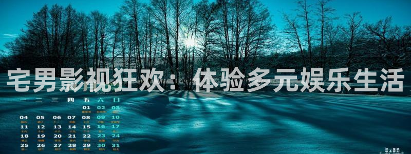 宅男视频在线污：宅男影视狂欢：体验多元娱乐生活