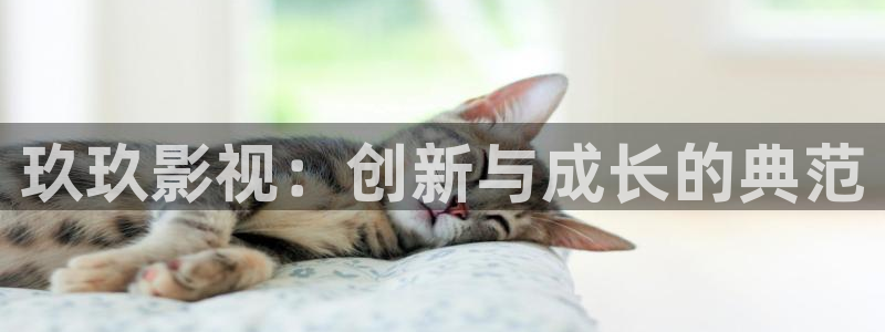 宅男视频在线免费直接观看：玖玖影视：创新与成长的典范